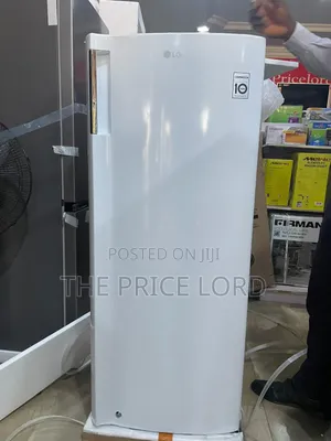 Lg Upright Freezer 302s