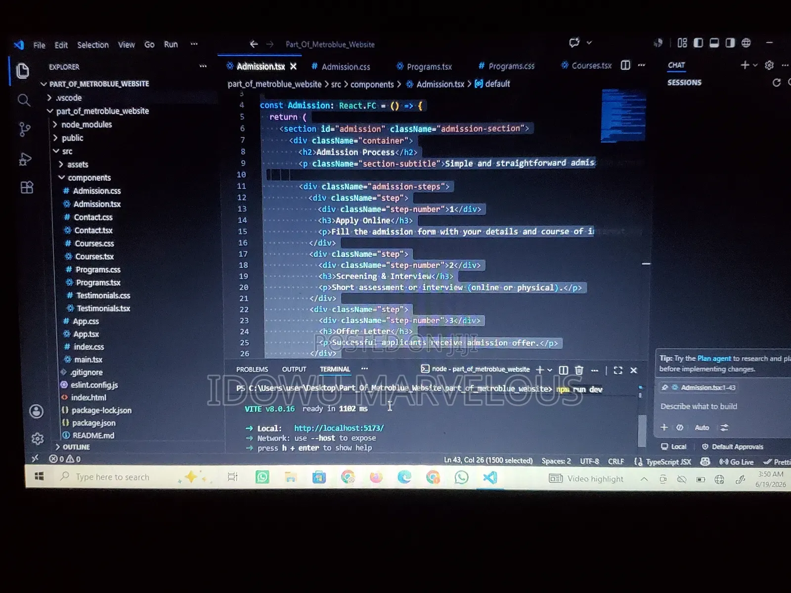 Website Developer