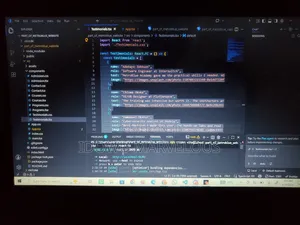 Website Developer