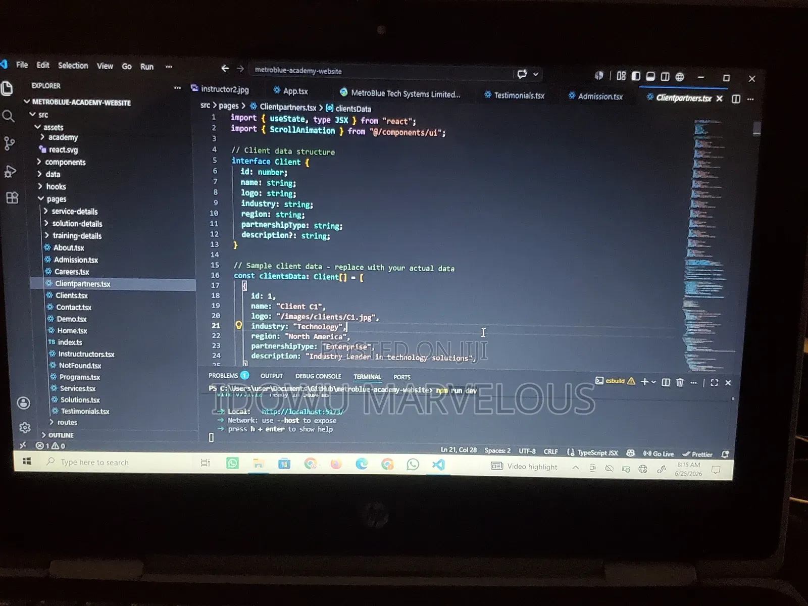 Website Developer