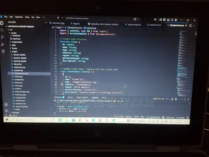 Website Developer