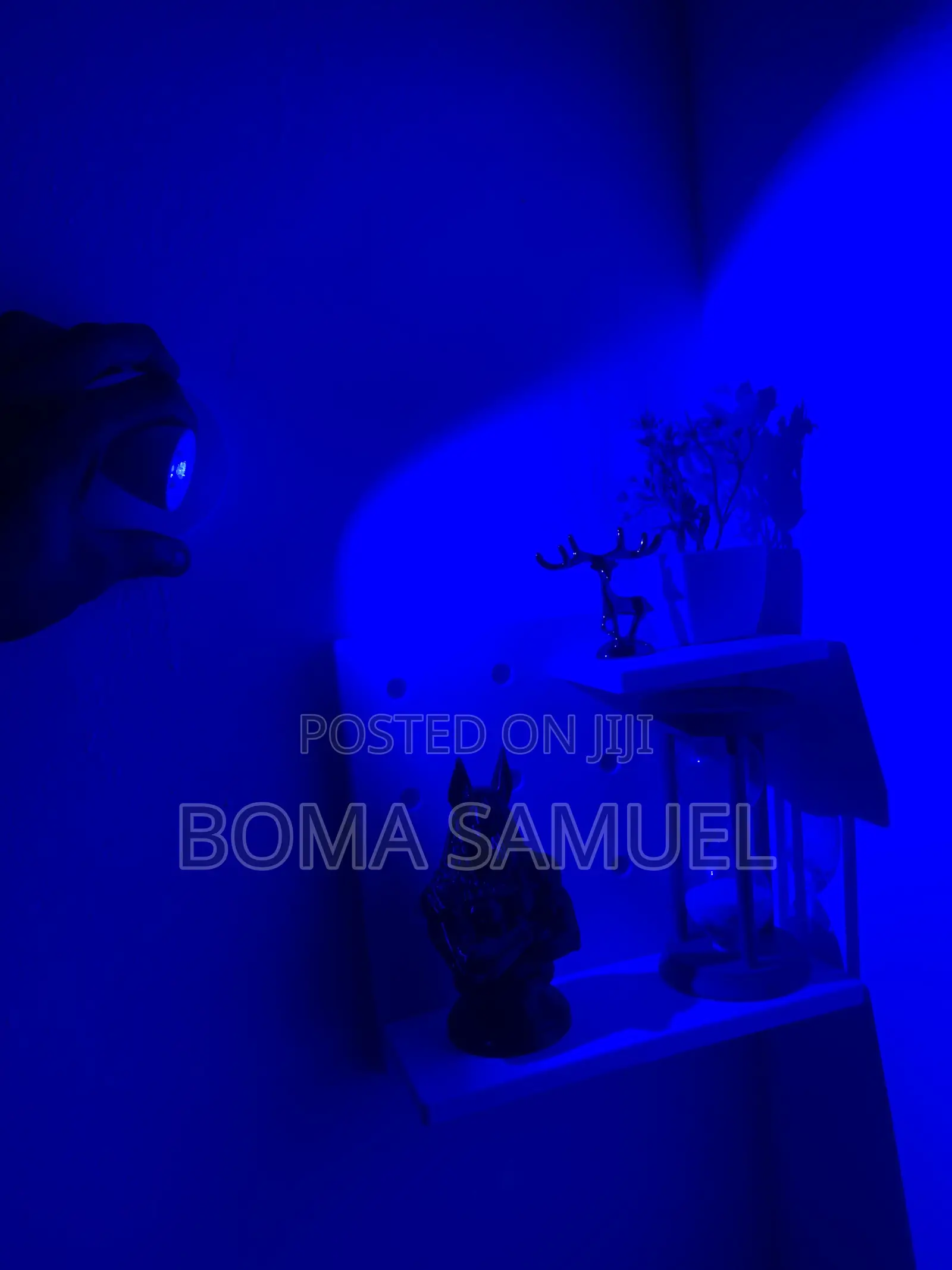Aesthetic Wall Light