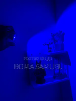 Aesthetic Wall Light