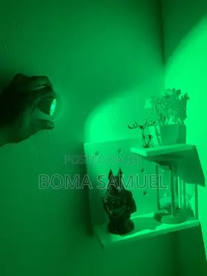 Aesthetic Wall Light