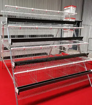 A-Type Imported Battery Cages