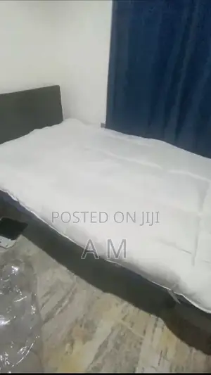 Orthopedic Bed 4 by 6 Bed-Frame and Mattress