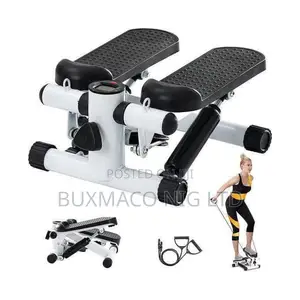 Mini Stepper Machine