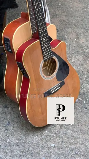 Electric Semi Acoustic Guitar