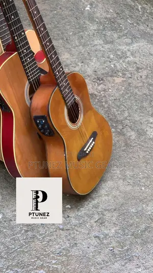 Electric Semi Acoustic Guitar