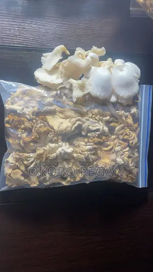 Oyster Mushroom