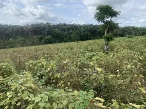 4760sqm Land Facing Express in Ajah