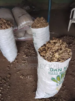 Fresh and Dry Ginger