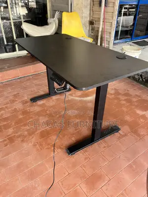 Premium Electric Adjustable Gaming Desk - Standing Ergonomic Table