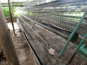 Battery Cages, 96 Layer Birds Capacity