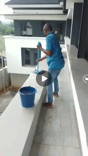 Professional Cleaning Services