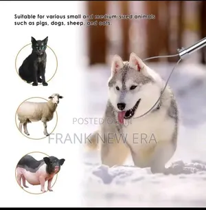 Animal Catcher