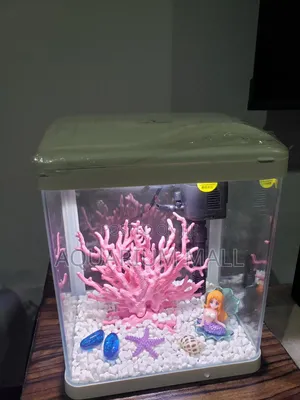 Aquarium Tank