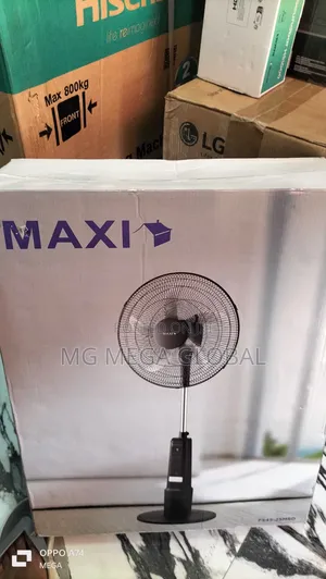 Maxi Standing Fan