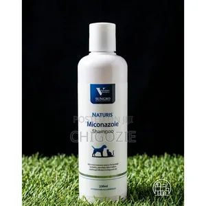 Skin Care Shampoo for Your Dog Rashes, Hairs