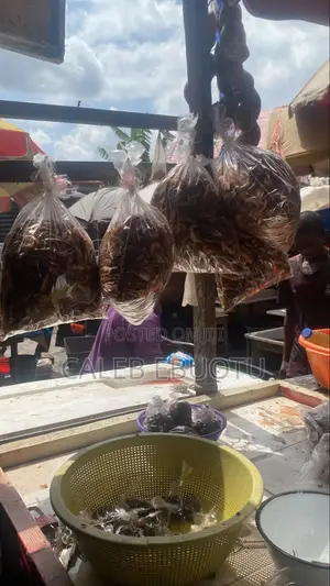 Dried Oporo/Prawns