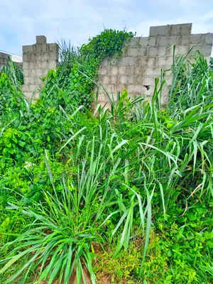 Plots of Land for Sale in Ijagemo Close to Ijegun for Sale