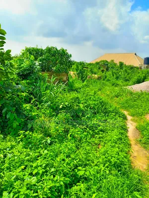 Plots of Land for Sale in Isiwo Ijebu Ode by Epe Toll Gate