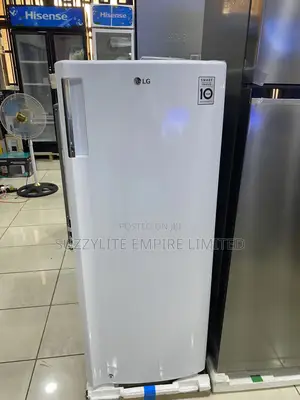 Lg Standing Inverter Freezer