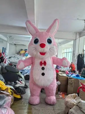 Rabbit Costume