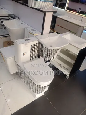 Executive Unique Design Water Closet With Wall Hung Basin