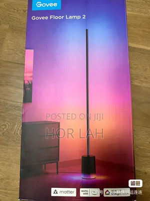 Govee Floor Lamp 2