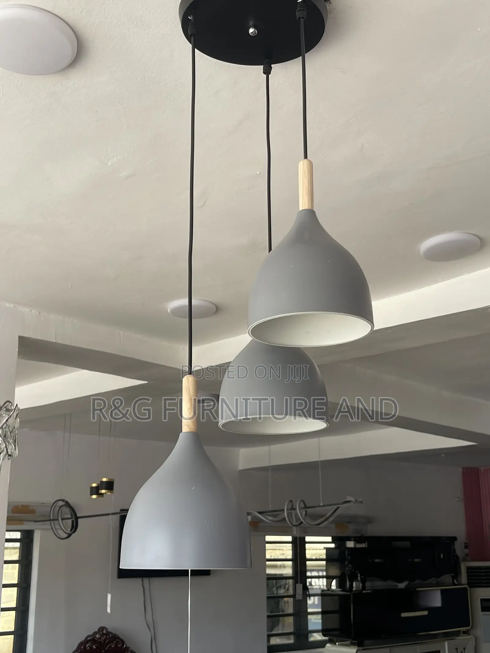 Imported Pendant Light