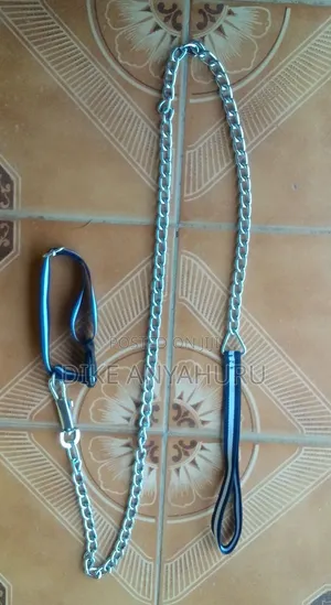 Puppy Chain and Collar