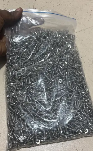 Stainless Screw