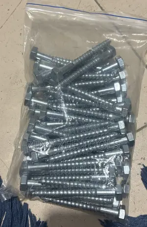 Screw Bolt