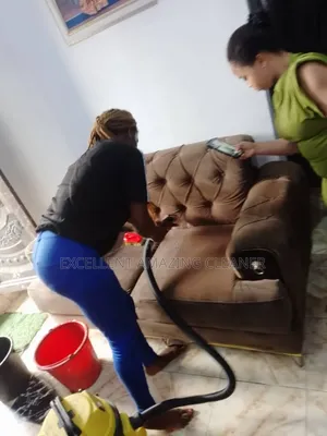 Excellent Amazing Sofa Cleaning Service