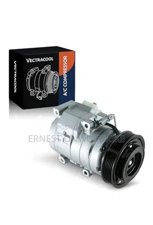 A/C Compressor (American Spec)