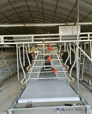 Battery Cages Poultry Cage Farming Cages