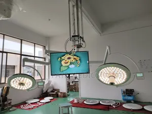 Double Operating Light With Camera