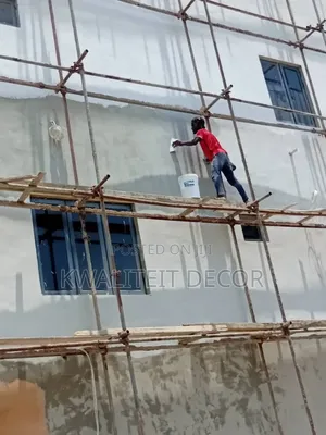 Professional in Wall Screeding
