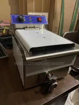 Electric Deep Fryer