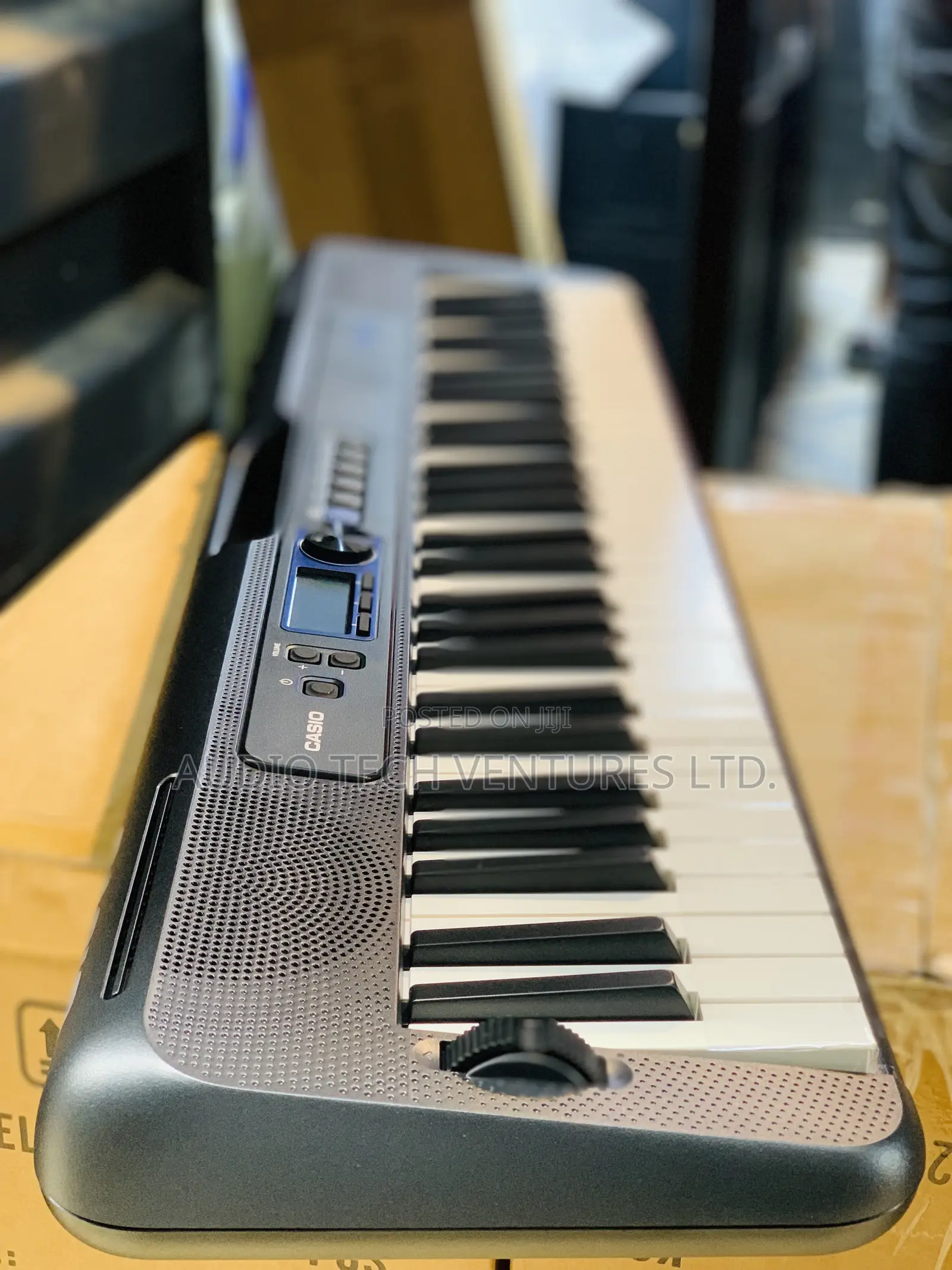 Professional Casio Keyboard CTK S300