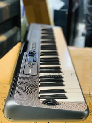 Professional Casio Keyboard CTK S300