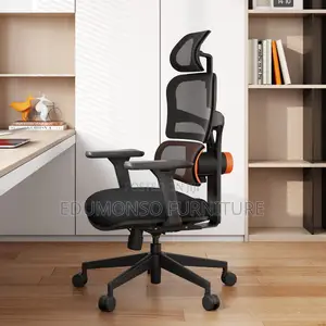Nt001 Ergonomic Home Office Chair With Auto-Following Lumbar Support