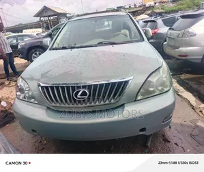 Lexus RX 2009 Gray