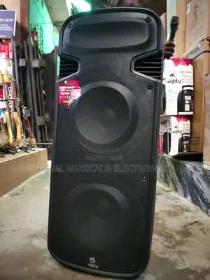 World King Double 15inches Public Adress System With 2wireless Mic