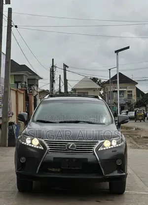 Lexus RX 350 2010 Gray