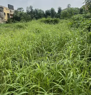 Property for Sake