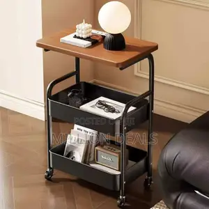 Unique Fancy Storage Oraganizer