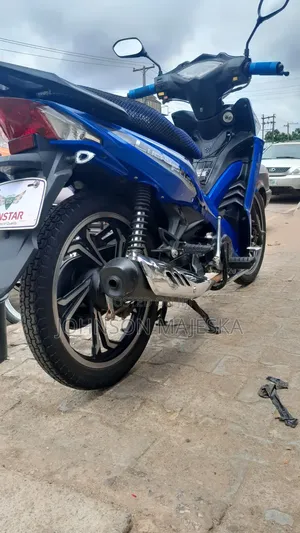 Denstar Lion King 2025 Blue