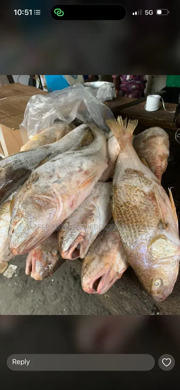 Crackers Fish